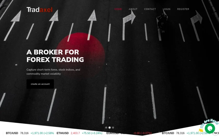 обзор сайта tradaxelpro.com с отзывами пользователей