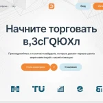 Demisto.xyz — обзор платформы, отзывы клиентов и трудности с финансовыми операциями