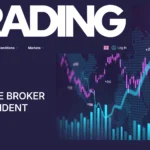 обзор сайта prynamite.co, отзывы пользователей и опыт использования сайта