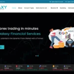 Обзор брокера vertextradenetwork.com - анализ отзывов и проблем с выводом средств